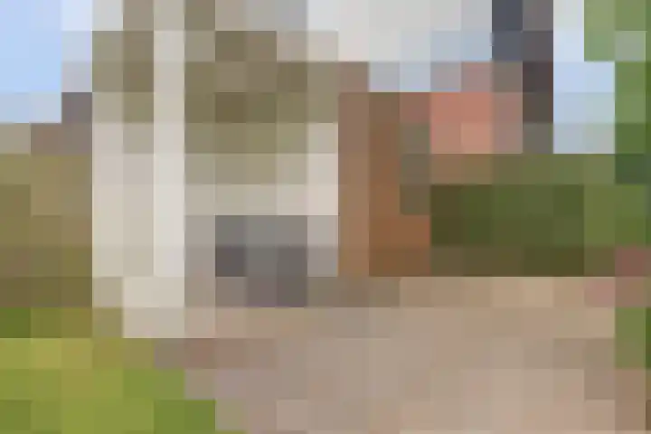 MacBridestraat 67 Veenendaal thumbnail 32