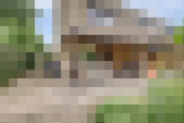 MacBridestraat 67 Veenendaal thumbnail 33
