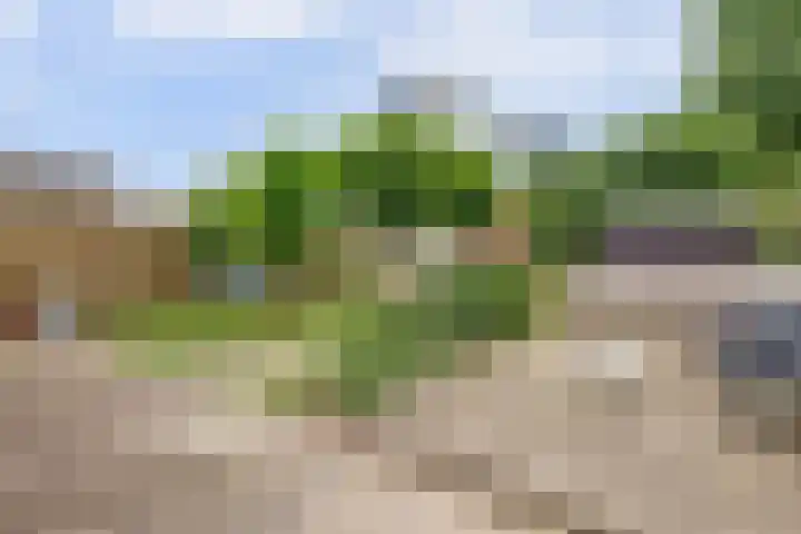 MacBridestraat 67 Veenendaal thumbnail 36