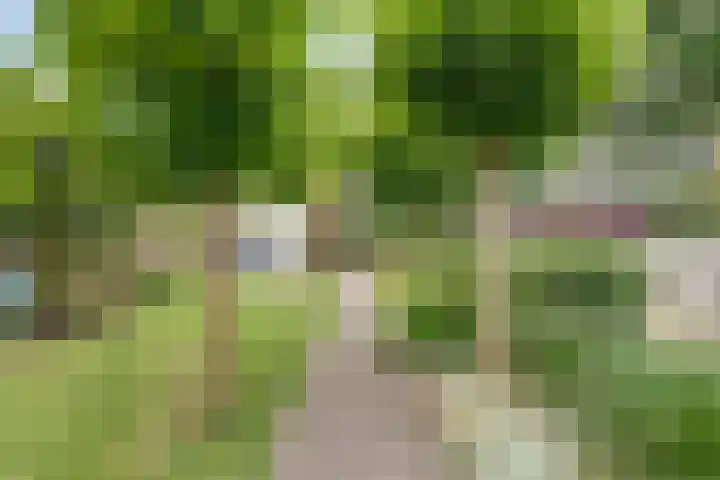 MacBridestraat 67 Veenendaal thumbnail 37