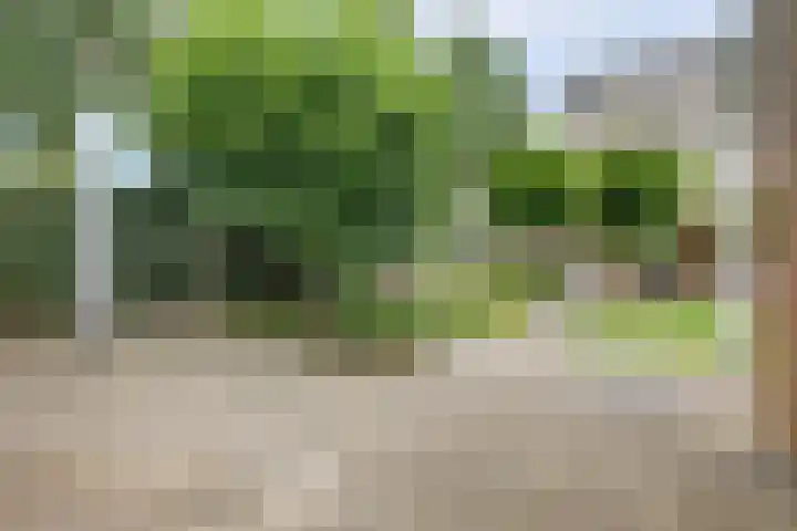 MacBridestraat 67 Veenendaal thumbnail 4