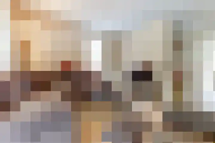 MacBridestraat 67 Veenendaal thumbnail 8