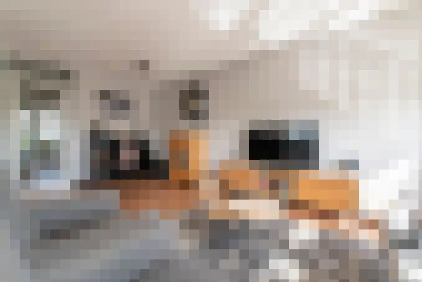 MacBridestraat 98 Veenendaal thumbnail 11