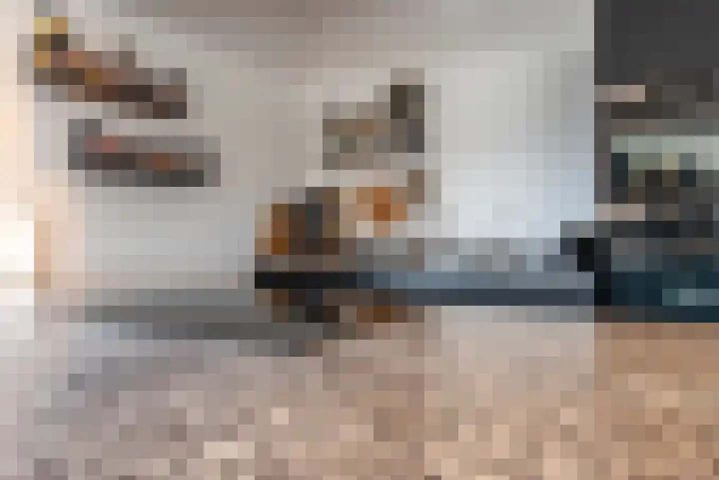 MacBridestraat 98 Veenendaal thumbnail 14