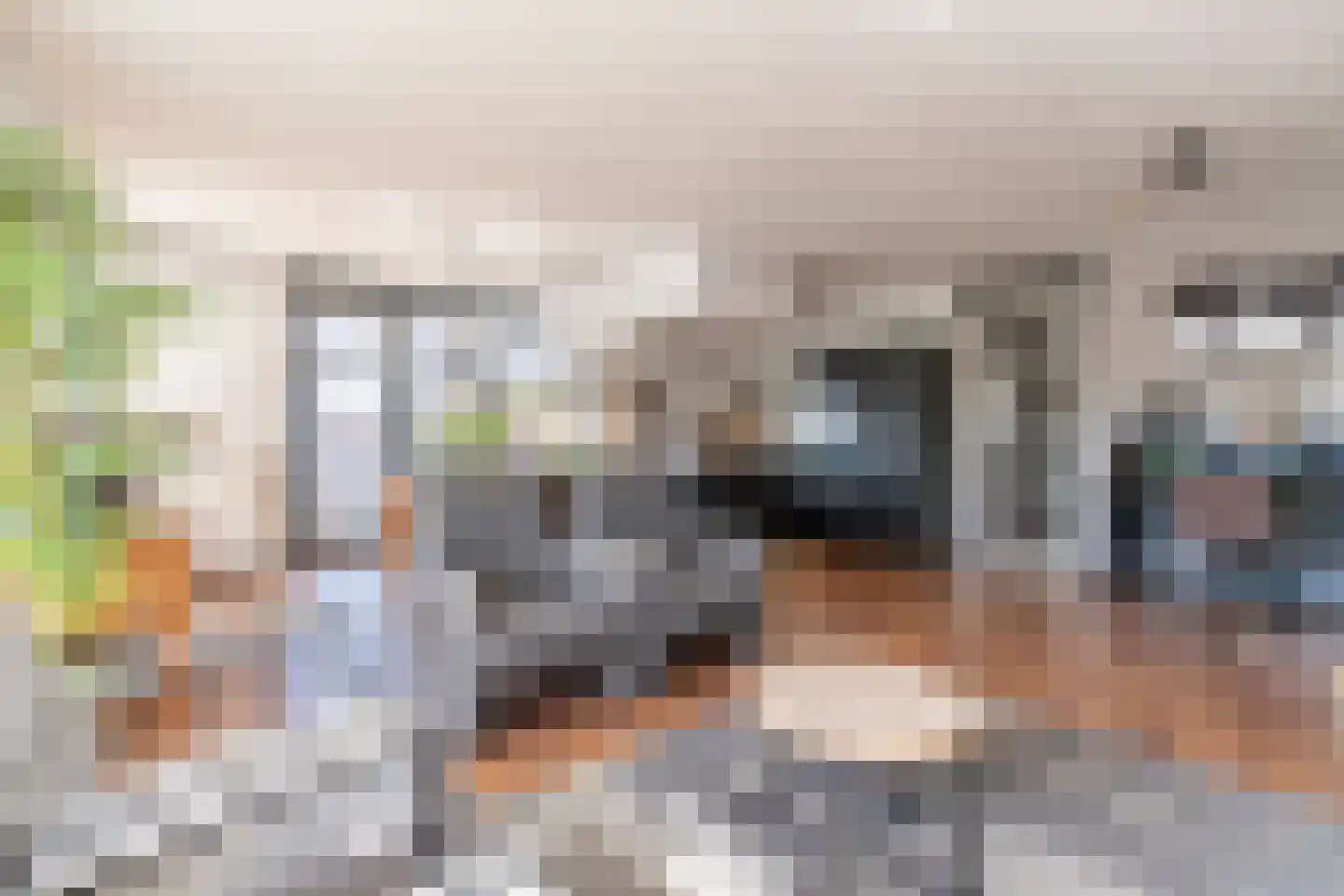 MacBridestraat 98 Veenendaal thumbnail 9