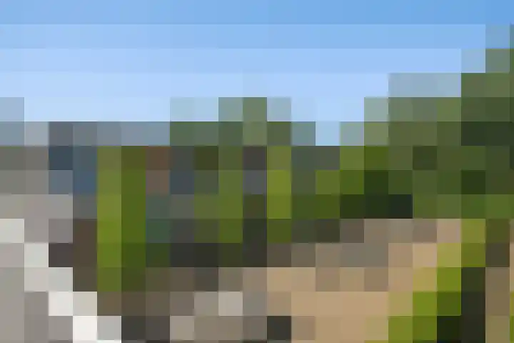 Maccabiadelaan 32 Amstelveen thumbnail 24