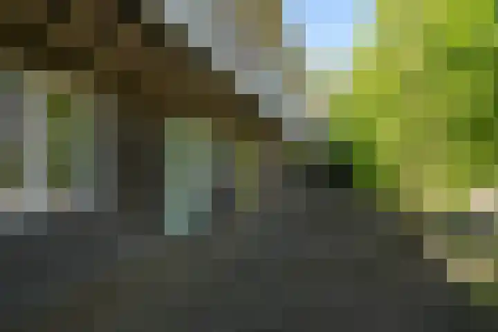 Maccabiadelaan 32 Amstelveen thumbnail 6