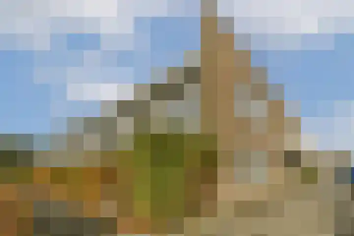 Maccabiadelaan 60 Amstelveen thumbnail 20