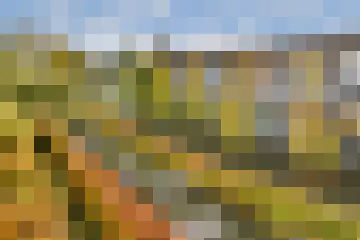 Maccabiadelaan 60 Amstelveen thumbnail 23