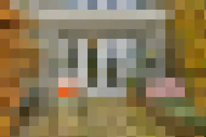 Maccabiadelaan 60 Amstelveen thumbnail 5