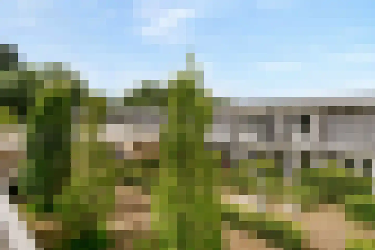 Maccabiadelaan 68 Amstelveen thumbnail 13