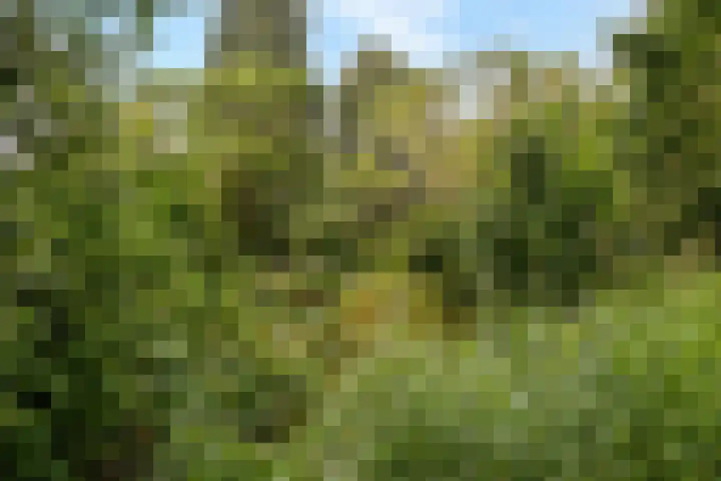 Maccabiadelaan 68 Amstelveen thumbnail 21