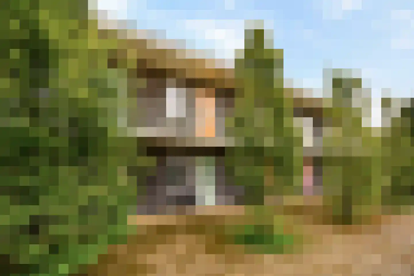 Maccabiadelaan 68 Amstelveen thumbnail 25