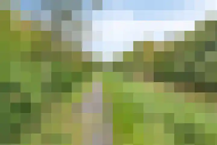 Maccabiadelaan 8 Amstelveen thumbnail 24