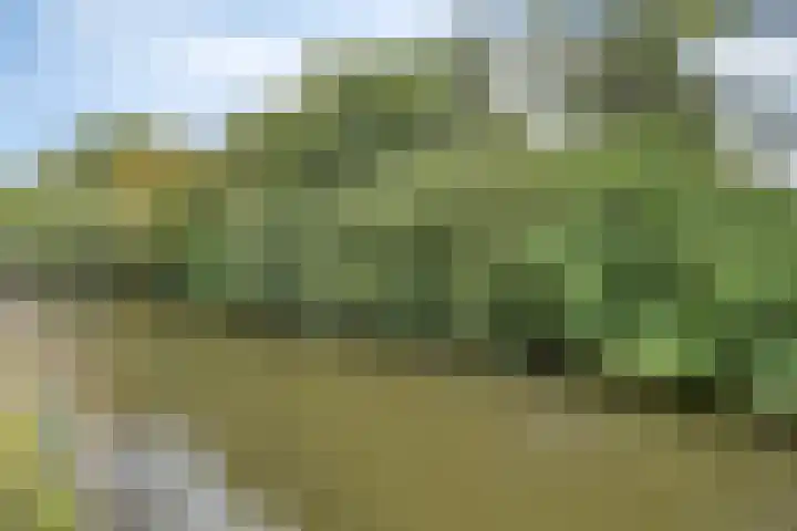 Maccabiadelaan 8 Amstelveen thumbnail 25