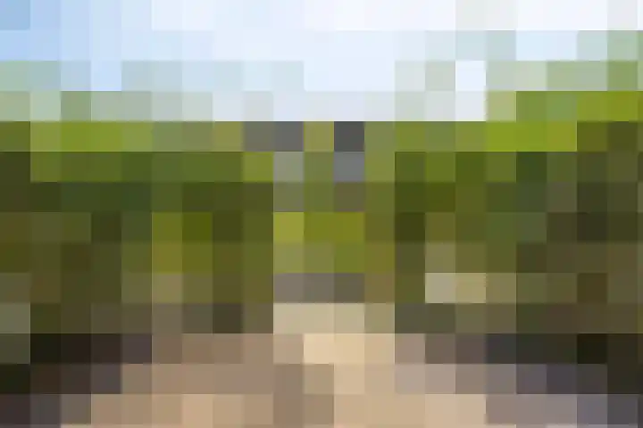Maccabiadelaan 8 Amstelveen thumbnail 5