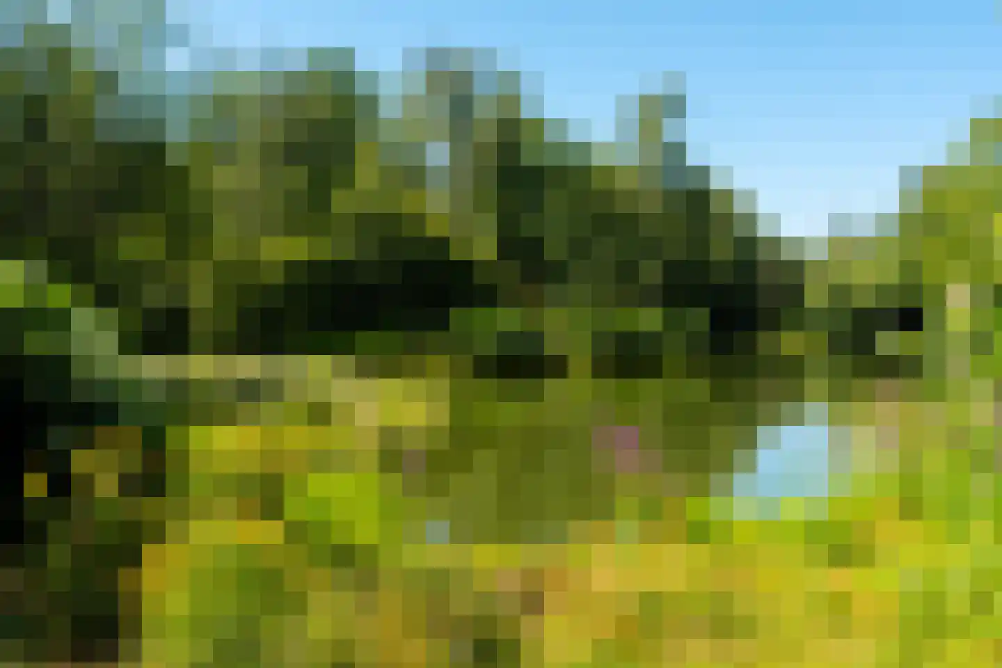Maccabiadelaan 86 Amstelveen thumbnail 13