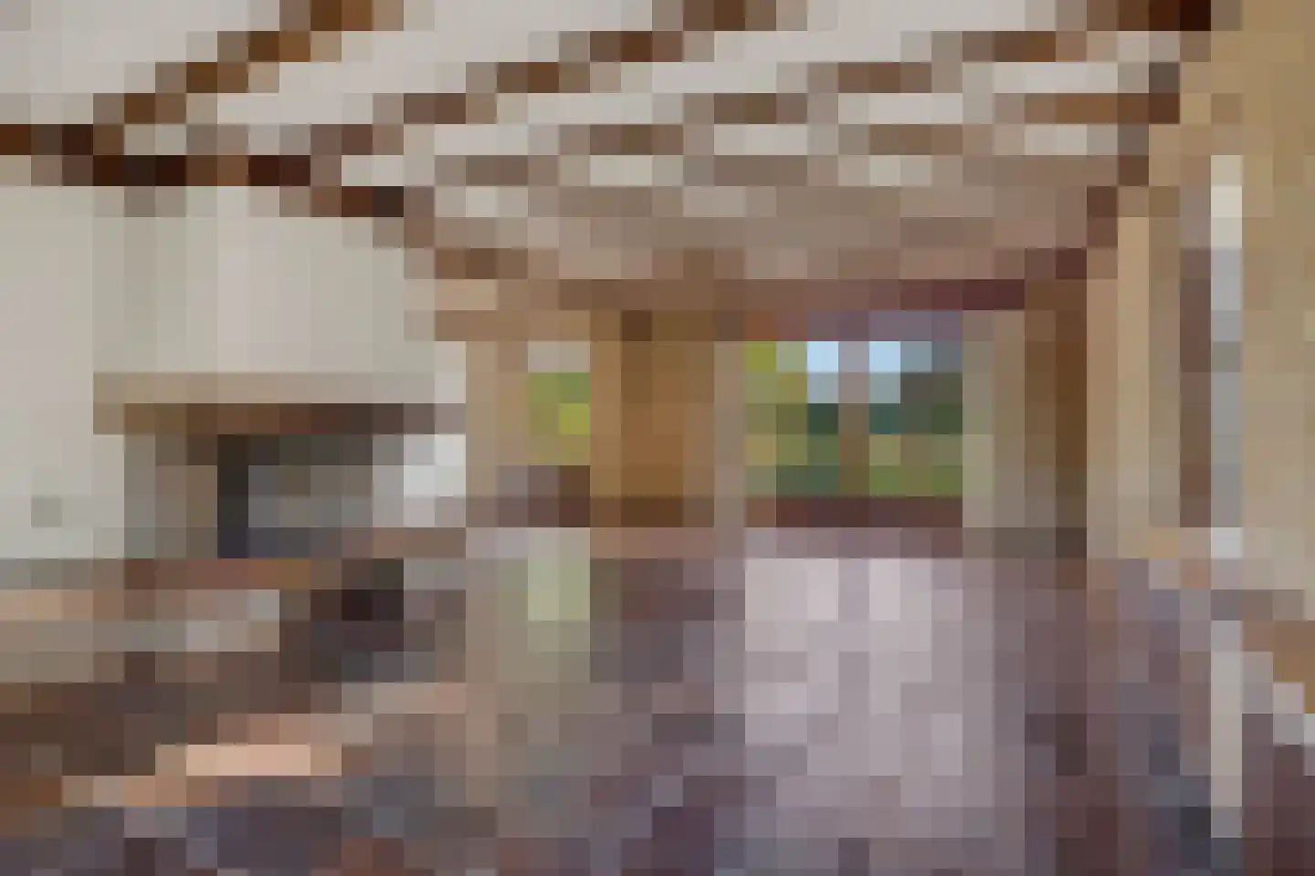 Maccallastraat 45 Helmond thumbnail 17