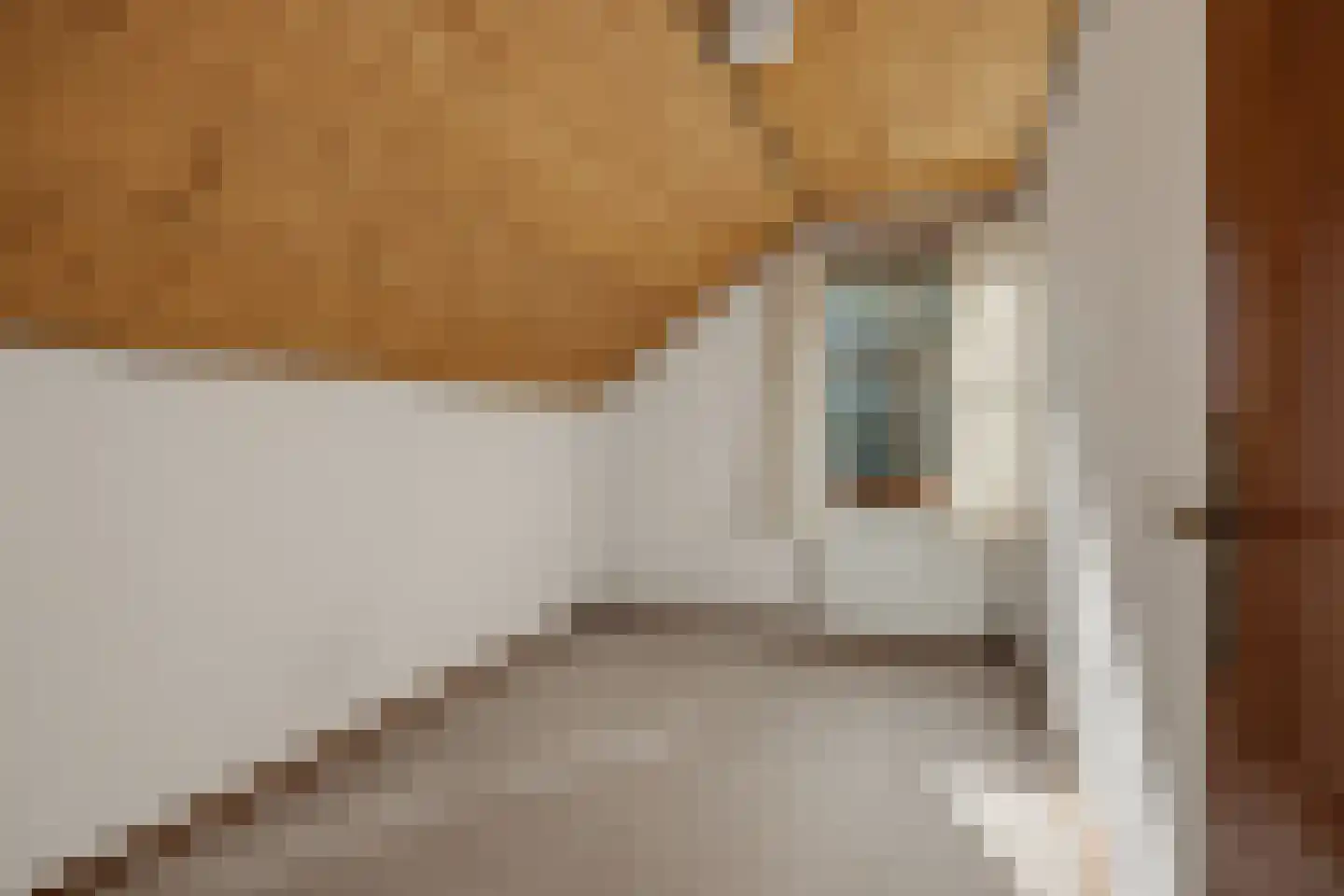 Maccallastraat 45 Helmond thumbnail 37