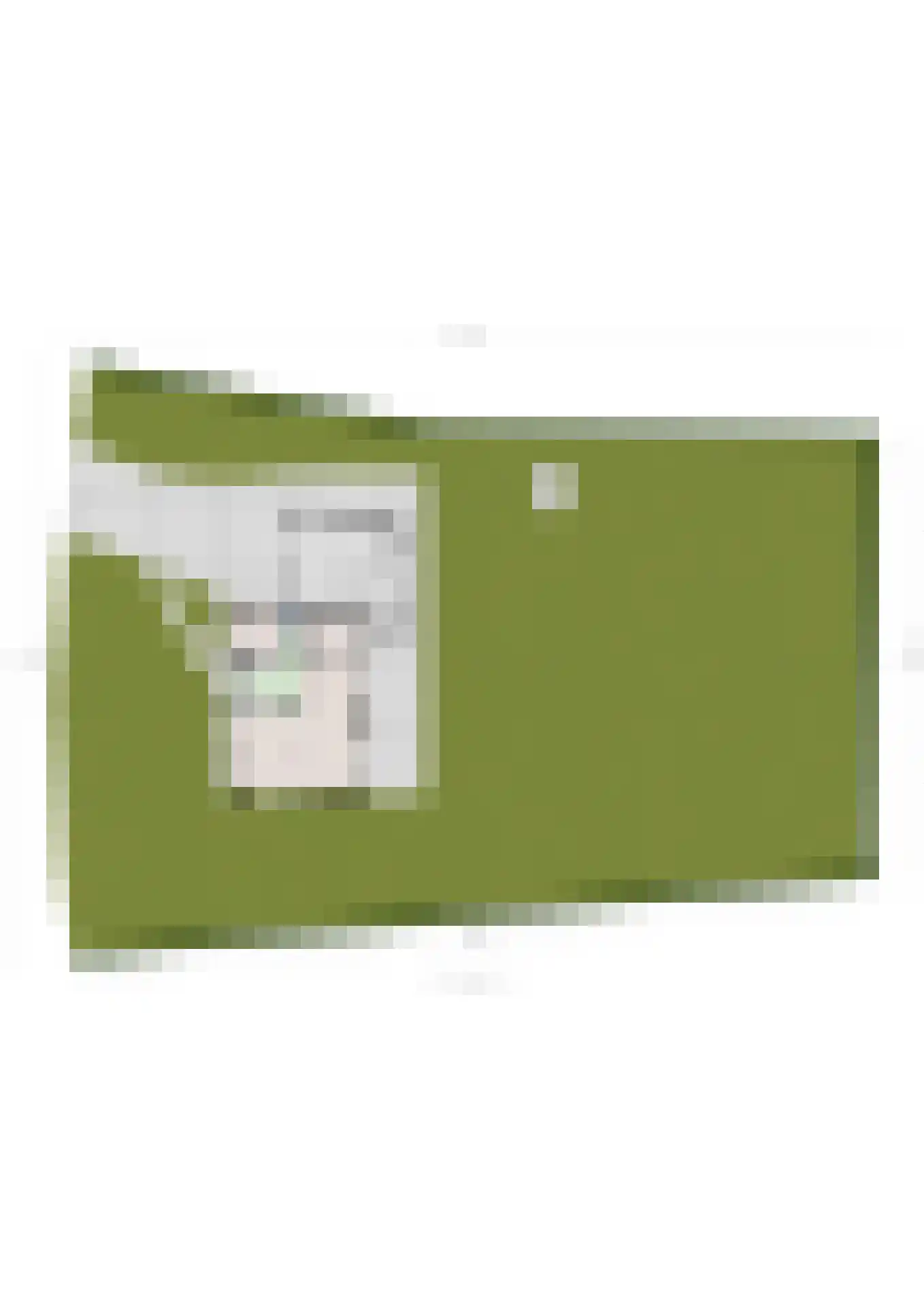 Maccallastraat 45 Helmond thumbnail 63