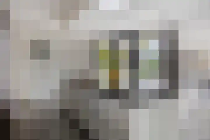 Macharenseweg 25 Oss thumbnail 11