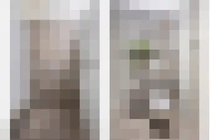 Macharenseweg 25 Oss thumbnail 18