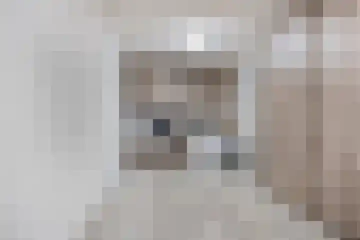 Macharenseweg 25 Oss thumbnail 19