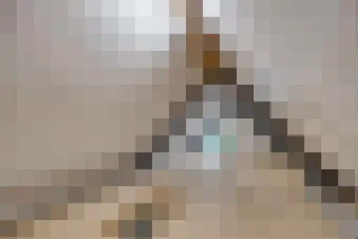 Macharenseweg 25 Oss thumbnail 30