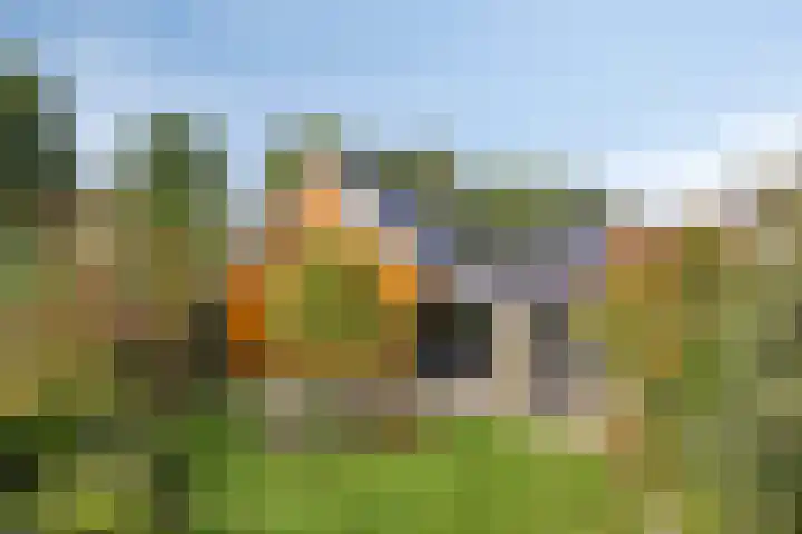 Macharenseweg 25 Oss thumbnail 31