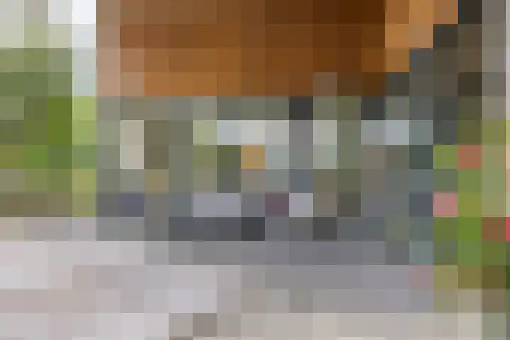 Macharenseweg 25 Oss thumbnail 33