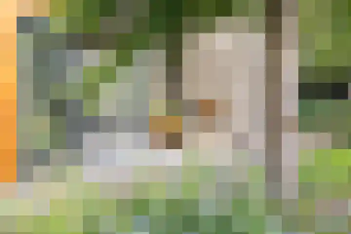 Macharenseweg 25 Oss thumbnail 34
