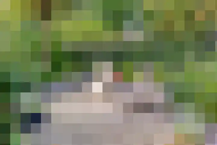 Macharenseweg 25 Oss thumbnail 36