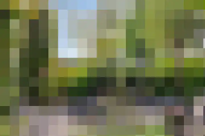 Macharenseweg 25 Oss thumbnail 37
