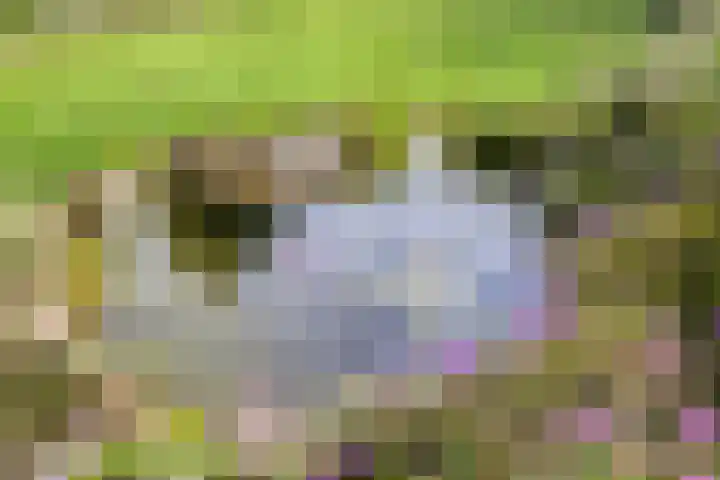 Macharenseweg 25 Oss thumbnail 38