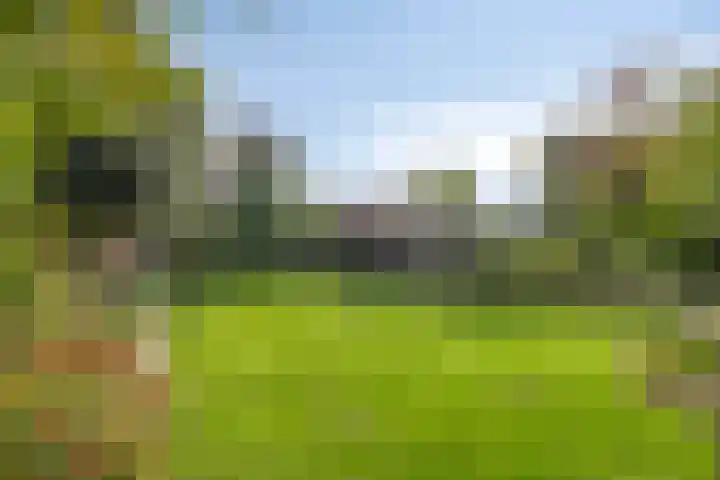 Macharenseweg 25 Oss thumbnail 39