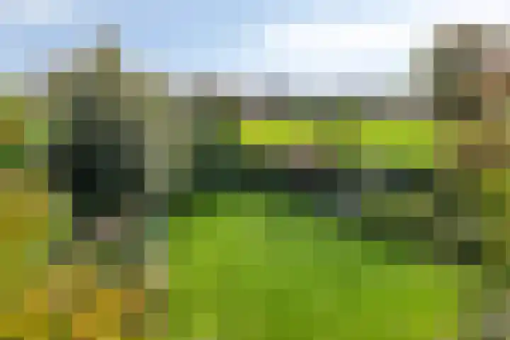 Macharenseweg 25 Oss thumbnail 40