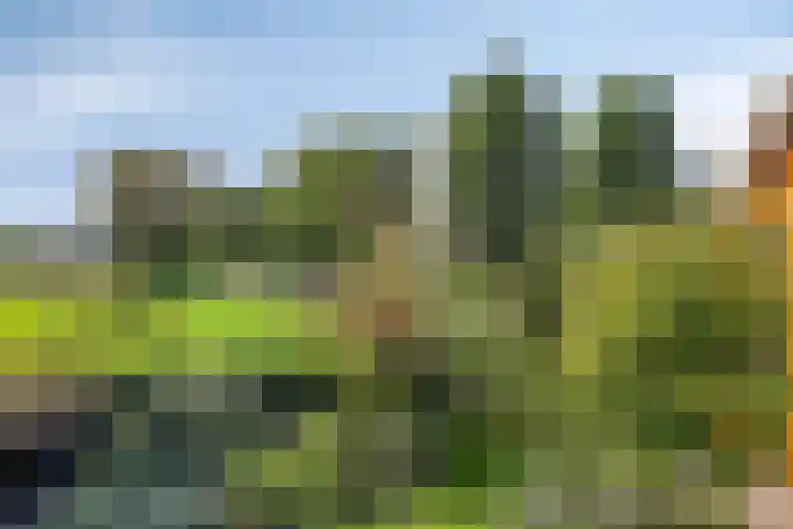 Macharenseweg 25 Oss thumbnail 41