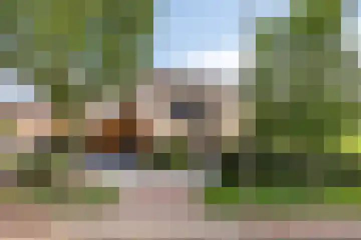 Macharenseweg 25 Oss thumbnail 42