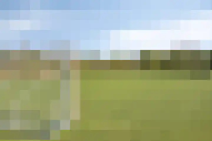 Macharenseweg 25 Oss thumbnail 44