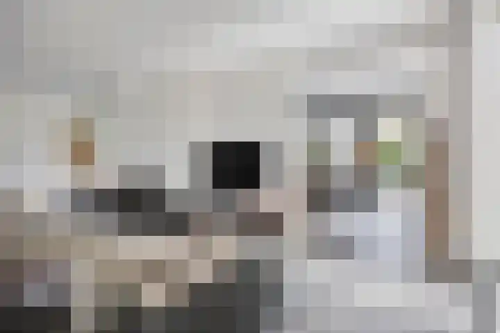 Macharenseweg 25 Oss thumbnail 5