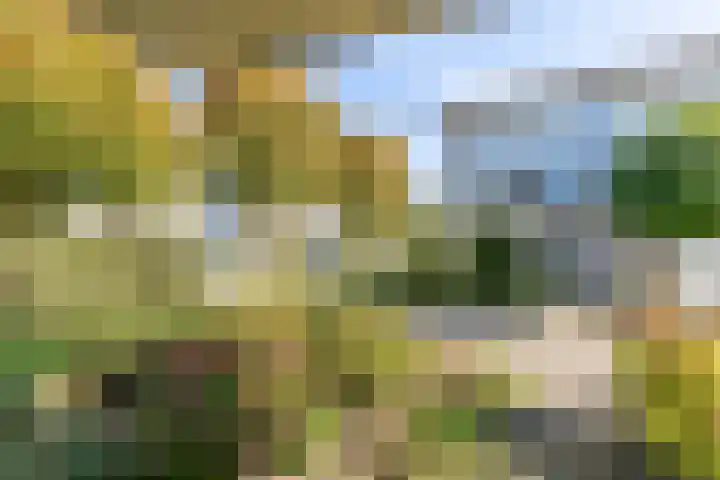 Macharijspad 8 Amersfoort thumbnail 39
