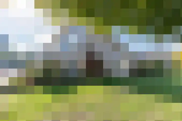 Macharijspad 8 Amersfoort thumbnail 41