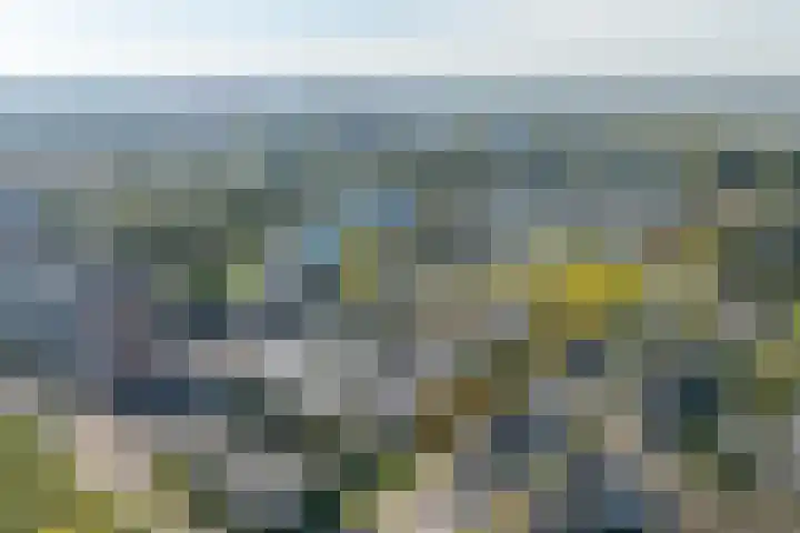 Macharijspad 8 Amersfoort thumbnail 46