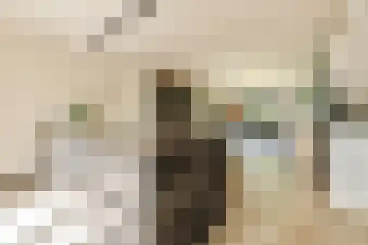 Machiel van Marlepad 2 Zaandam thumbnail 10