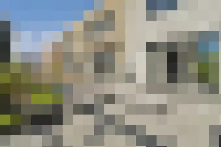 Machiel van Marlepad 2 Zaandam thumbnail 13