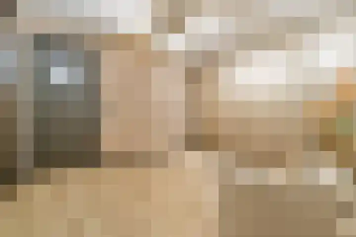 Machiel van Marlepad 2 Zaandam thumbnail 16