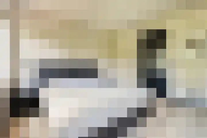 Machiel van Marlepad 2 Zaandam thumbnail 22