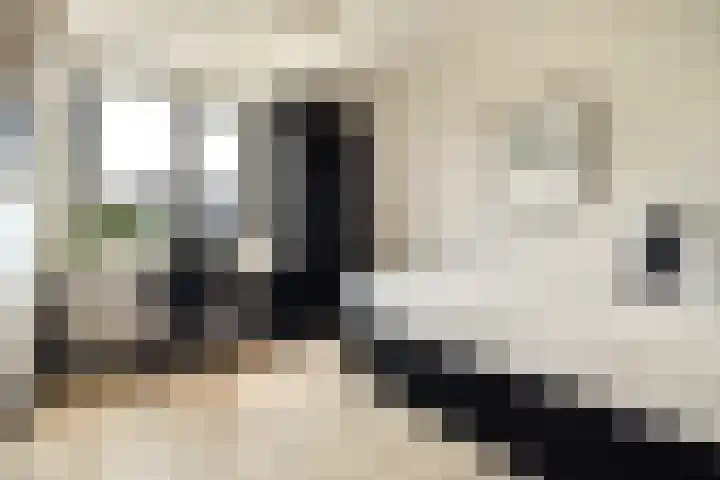 Machiel van Marlepad 2 Zaandam thumbnail 25