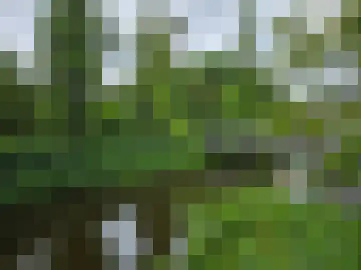 Machiel van Marlepad 2 Zaandam thumbnail 28
