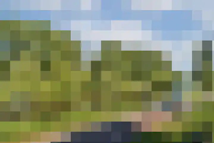 Machiel van Marlepad 2 Zaandam thumbnail 31